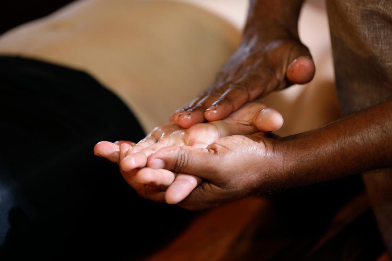 Sanjeevini Life Care Village - A Science Based Non - Invasive Holistic Wellness Destination Kochi Exteriör bild